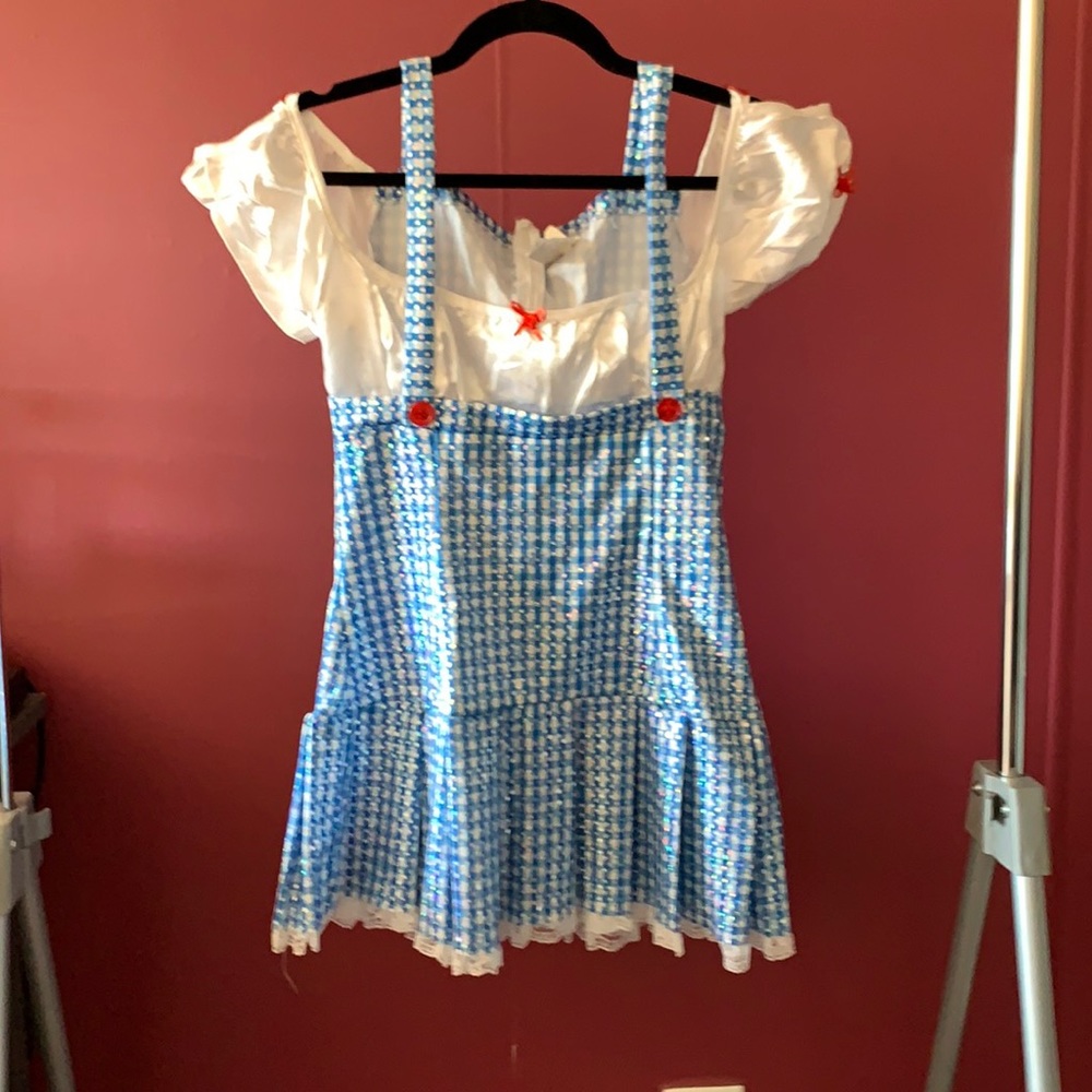 Dorothy Halloween costume!